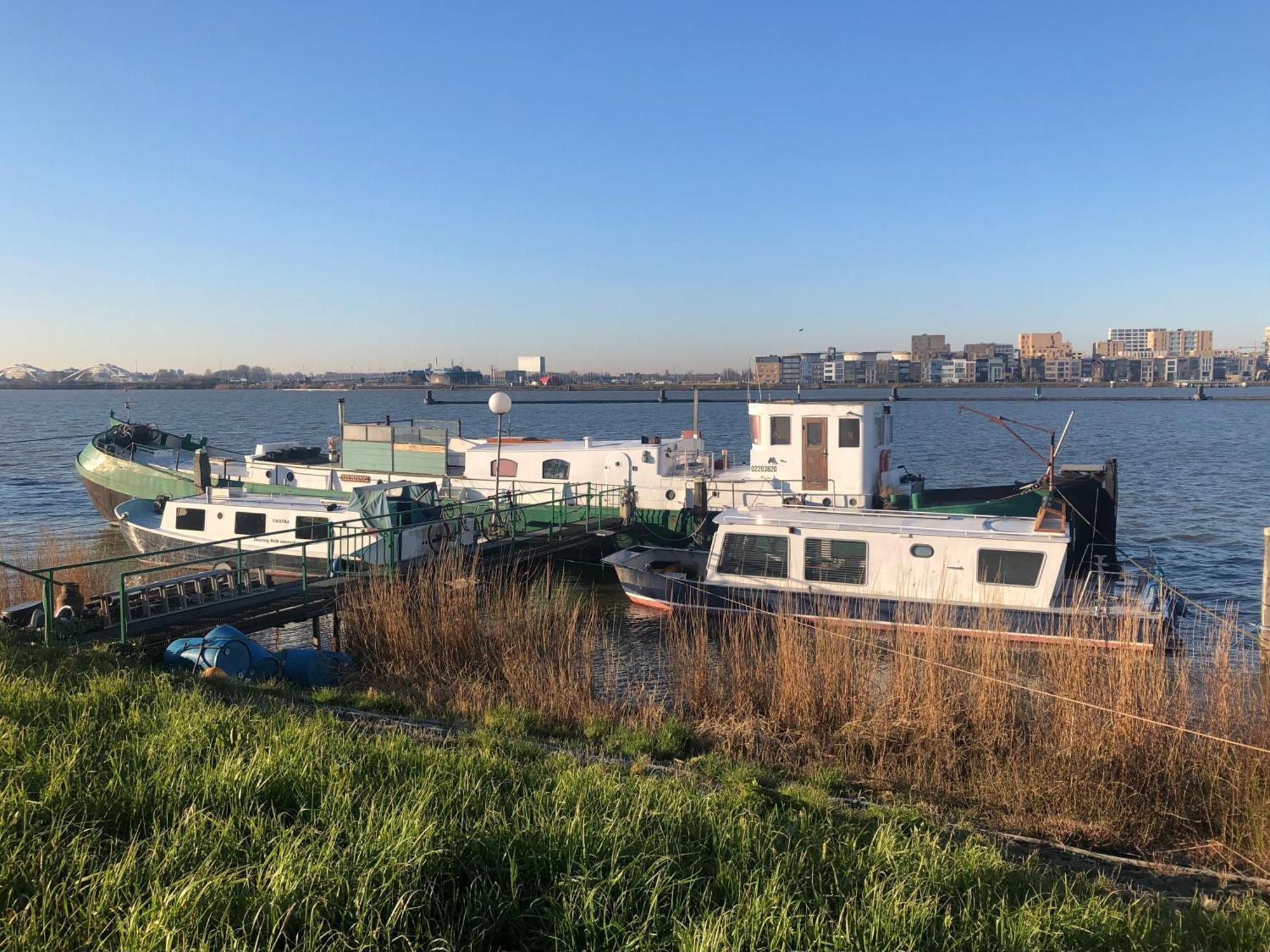 阿姆斯特丹福鲁汀住宿加早餐旅馆 外观 照片